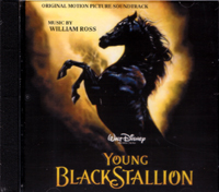 在庫処分特価 YOUNG BLACKSTALLION ヤング・ブラックスタリオン